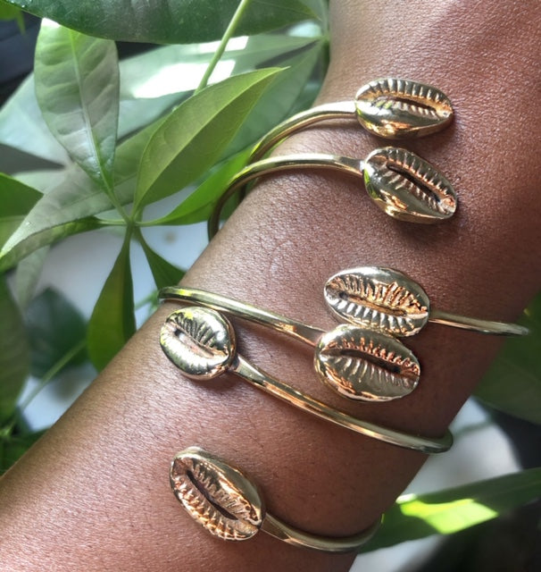 Cowrie Collection